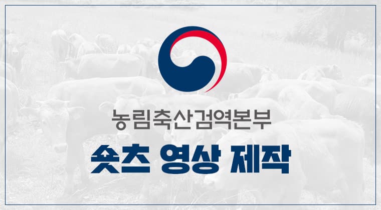 포트폴리오 : 농림축산검역본부 숏츠 영상 제작 성공사례